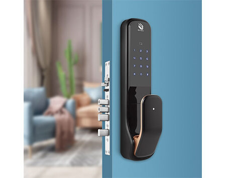 Electronic Locks