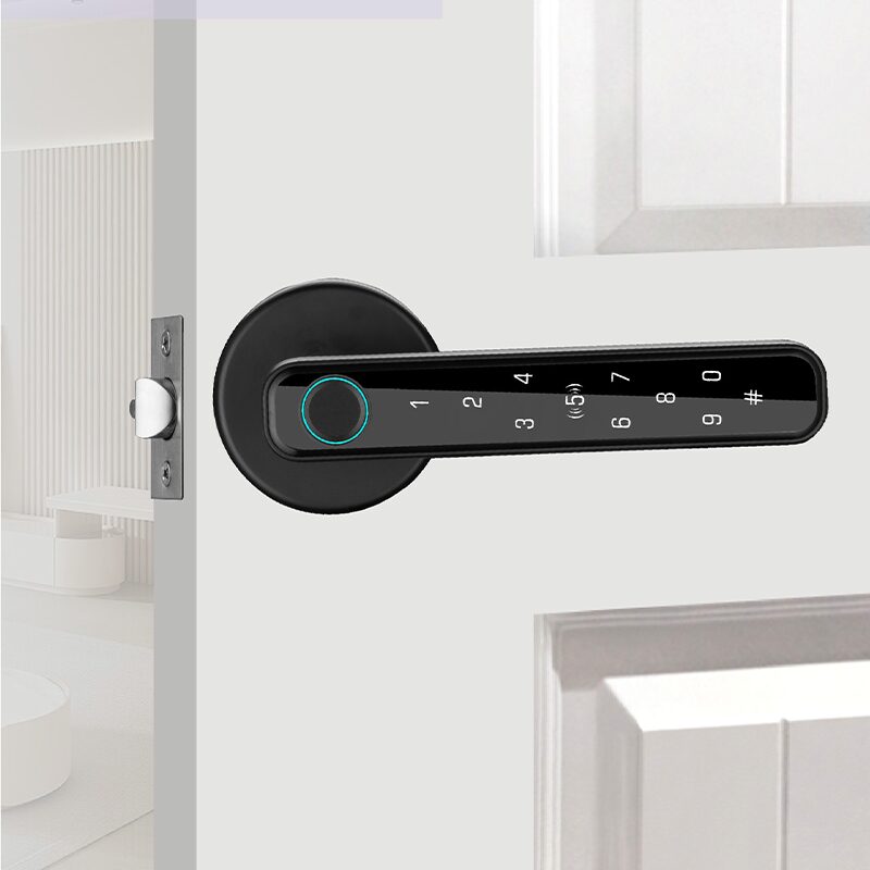 Fingerprint Smart Lock for Home